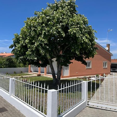 Moradia Alegre No Centro Da Vila Da Tocha. Exteriér fotografie