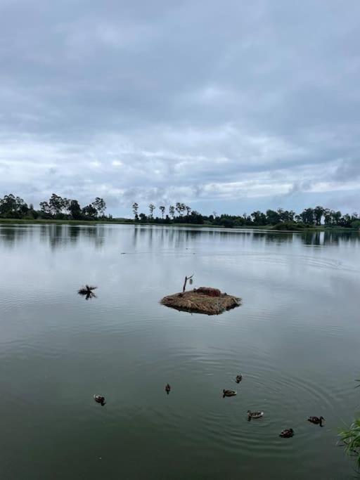 Moradia Alegre No Centro Da Vila Da Tocha. Exteriér fotografie