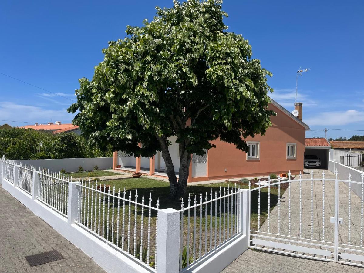 Moradia Alegre No Centro Da Vila Da Tocha. Exteriér fotografie